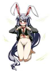Rule 34 | 1girl, animal ears, bad id, bad pixiv id, clothes lift, female focus, full body, itsukia, long hair, panties, rabbit ears, reisen udongein inaba, shirt lift, side-tie panties, simple background, solo, touhou, underwear, very long hair, white background