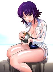 Rule 34 | 1girl, absurdres, bare legs, blue one-piece swimsuit, breasts, brown eyes, cleavage, coat, covered navel, cowboy shot, creatures (company), game freak, gluteal fold, gs ball, half-closed eyes, highleg, highleg swimsuit, highres, holding, holding poke ball, lab coat, large breasts, light smile, long sleeves, looking at viewer, medium hair, nintendo, one-piece swimsuit, open clothes, open coat, oversized object, philena ivy, poke ball, pokemon, pokemon (anime), pokemon (classic anime), purple hair, samutora mike, shiny skin, simple background, sitting, solo, sweat, swimsuit, taut clothes, taut swimsuit, wide hips