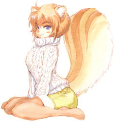 Rule 34 | 1girl, animal ears, aran sweater, blue eyes, breasts, brown hair, cable knit, full body, furry, furry female, hirokazu, original, pantyhose, pixowl, short hair, shorts, simple background, sitting, smile, snout, solo, squirrel, squirrel ears, squirrel tail, sweater, tail, wariza, white background