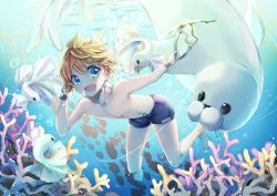 Rule 34 | 1boy, absurdres, barefoot, blonde hair, blue eyes, bubble, collarbone, commentary request, coral, hair between eyes, highres, holding, kagamine len, open mouth, seal (animal), short hair, swimsuit, underwater, vocaloid, yukkurin