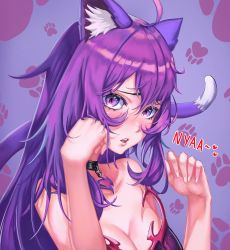 Rule 34 | 1girl, absurdres, alchemilla menace, animal ears, black choker, blush, cat ears, cat tail, choker, commentary, cyberlive, english commentary, highres, long hair, looking at viewer, lunarisbloom, paw pose, purple eyes, purple hair, simple background, solo, tail, virtual youtuber