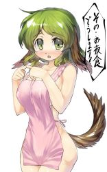 Rule 34 | 1girl, alternate breast size, animal ears, apron, blush, breasts, covered erect nipples, fingers together, green eyes, green hair, image sample, kasodani kyouko, large breasts, matching hair/eyes, naked apron, open mouth, sakimori dan, short hair, solo, tail, text focus, touhou, translated