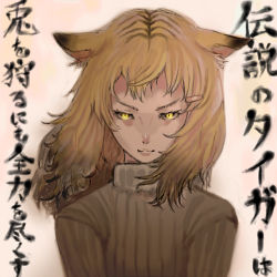 Rule 34 | 1girl, animal ears, blonde hair, borrowed character, eyelashes, honoji, lowres, slit pupils, solo, sweater, tiger ears, translation request, v-shaped eyebrows, yellow eyes