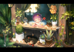 Rule 34 | 1girl, bug, butterfly, hairband, heart, insect, kaenbyou rin, kaenbyou rin (cat), komeiji satori, letterboxed, long sleeves, multiple tails, nekomata, pink hair, plant, potted plant, red eyes, scenery, seeker, shirt, smile, tail, third eye, touhou, two tails, wide sleeves