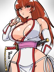 Rule 34 | 1girl, arm guards, breasts, brown hair, cleavage, dead or alive, highres, kasumi (doa), large breasts, long hair, ninja, paddy g (terrybrogard), revealing clothes, solo, sword, tagme, weapon
