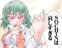Rule 34 | 1girl, breasts, cleavage, female focus, green hair, impossible clothes, impossible shirt, kazami yuuka, large breasts, lowres, nyagakiya, plaid, plaid vest, red eyes, shirt, short hair, solo, touhou, upper body, vest