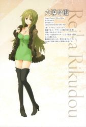 Rule 34 | 1girl, black footwear, boots, breasts, brown hair, character name, cleavage, coat, collarbone, dress, fate/apocrypha, fate (series), female focus, full body, green dress, high heel boots, high heels, highres, jacket, jewelry, konoe ototsugu, long hair, looking at viewer, medium breasts, necklace, official art, rikudou reika, smile, solo, standing, strapless, strapless dress, thigh boots, thighhighs, translation request