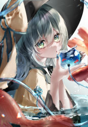 Rule 34 | 1girl, :o, absurdres, aqua nails, aquarium, black hat, bow, commentary request, fish, goldfish, green eyes, green hair, hair between eyes, hat, hat bow, highres, holding, komeiji koishi, long hair, long sleeves, looking at viewer, nail polish, open mouth, partially submerged, shirt, solo, touhou, upper body, white background, wide sleeves, yellow bow, yellow shirt, yukia (yukia 777)