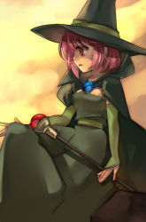 Rule 34 | 1girl, cape, chunsoft, detached sleeves, dragon quest, dragon quest iii, dress, enix, hat, inuinui, mage (dq3), pink hair, red eyes, short hair, solo, staff, witch, witch hat