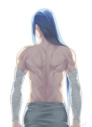 Rule 34 | 1boy, back, back focus, bandaged arm, bandages, blue hair, from behind, long hair, male focus, muscular, muscular male, rkp, scar, shoulder blades, signature, simple background, solo, luo xiaohei zhanji, topless male, white background, wuxian (the legend of luoxiaohei)