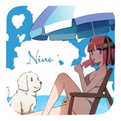 Rule 34 | 1girl, :p, animal, asou (asabu202), bikini, blue eyes, blunt ends, blush, border, butterfly hair ornament, character name, cloud, cloudy sky, day, dog, eating, food, from side, go-toubun no hanayome, hair ornament, highres, holding, holding food, ice cream, looking at viewer, looking to the side, nakano nino, ocean, parasol, pink hair, short hair, sky, solo, swimsuit, tongue, tongue out, umbrella, white border