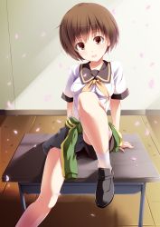 Rule 34 | 1girl, absurdres, atlus, bike shorts, brown eyes, brown hair, clothes around waist, fal maro, highres, jacket, jacket around waist, persona, persona 4, satonaka chie, school uniform, short hair, solo, track jacket, wristband