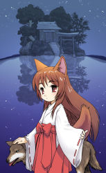 Rule 34 | 1girl, animal ears, fox, fox ears, fox tail, hill, japanese clothes, long hair, meow (nekodenki), miko, night, original, red eyes, reflection, shrine, solo, star (symbol), tail, torii, tree, water, wolf, wolf ears, wolf tail