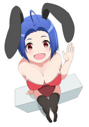 Rule 34 | 1girl, ahoge, animal ears, blue hair, breasts, cleavage, female focus, from above, haseneko, highres, idolmaster, idolmaster (classic), large breasts, looking at viewer, miura azusa, open mouth, rabbit ears, red eyes, short hair, sitting, solo, thighhighs