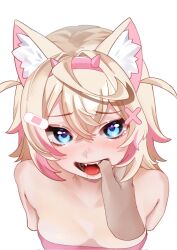 Rule 34 | 1girl, animal ear fluff, animal ears, arikyami, bandaid, bandaid hair ornament, bandeau, bare shoulders, blonde hair, blue eyes, breasts, cropped arms, disembodied limb, dog ears, dog girl, fangs, finger in another&#039;s mouth, hair ornament, hairband, headband, highres, hololive, hololive english, long hair, looking at viewer, medium breasts, mococo abyssgard, multicolored hair, open mouth, pink bandeau, pink hair, pink headband, saliva, simple background, spiked hairband, spikes, streaked hair, tearing up, teeth, tongue, tongue out, virtual youtuber, white background, x hair ornament