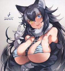 Rule 34 | 1girl, absurdres, alternate breast size, animal ears, arm under breasts, bare shoulders, between breasts, bikini, bikini under clothes, black hair, blue eyes, breasts, covered erect nipples, dated, detached collar, fur collar, gloves, grey hair, grey wolf (kemono friends), hair between eyes, hand up, head tilt, heterochromia, highres, huge breasts, iparupua, jacket, kemono friends, long hair, long sleeves, looking at viewer, multicolored hair, necktie, necktie between breasts, off shoulder, open clothes, open jacket, open mouth, skindentation, smile, solo, strap gap, striped bikini, striped clothes, swimsuit, two-tone hair, very long hair, wolf ears, yellow eyes