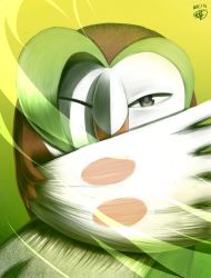 Rule 34 | artist name, creatures (company), dartrix, dated, feathered wings, game freak, gen 7 pokemon, green background, green eyes, highres, kththeartist, nintendo, no humans, one eye closed, pokemon, pokemon (creature), pokemon sm, simple background, solo, wings