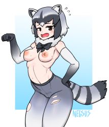 Rule 34 | 1girl, animal ears, blue background, breasts, common raccoon (kemono friends), cowboy shot, detached collar, elbow gloves, embarrassed, fluffy collar, gloves, gradient background, grey gloves, grey pantyhose, highres, kemono friends, looking at viewer, medium breasts, navel, negsus, nipples, open mouth, pantyhose, short hair, silver hair, solo, tail, topless, torn clothes, torn pantyhose