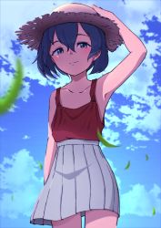 Rule 34 | 1girl, adapted costume, bare arms, bare shoulders, black hair, blue eyes, blush, cloud, commentary request, cowboy shot, grass, grey skirt, hand on headwear, helmet, highres, kaban (kemono friends), kemono friends, looking at viewer, pith helmet, pleated skirt, red shirt, shirt, short hair, skirt, sky, sleeveless, solo, tank top, yakorou-san