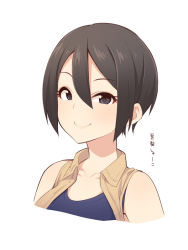 Rule 34 | 1girl, alternate hair color, bad id, bad pixiv id, bare shoulders, black eyes, black hair, blue shirt, blush, brown vest, closed mouth, collared vest, cropped torso, hair between eyes, idolmaster, idolmaster cinderella girls, looking at viewer, parted bangs, shiomi syuko, shirt, short hair, simple background, sleeveless, sleeveless shirt, smile, solo, translation request, uccow, upper body, vest, white background