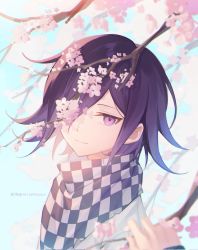 Rule 34 | 1boy, artist name, black hair, blurry, blurry foreground, branch, checkered clothes, checkered scarf, cherry blossoms, danganronpa (series), danganronpa v3: killing harmony, ewa (seraphhuiyu), flipped hair, grey background, hair over one eye, highres, jacket, looking at viewer, male focus, medium hair, one eye covered, oma kokichi, pink eyes, scarf, simple background, smile, solo focus, upper body, white jacket