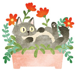 Rule 34 | animal focus, cat, flower, flower pot, grey cat, in container, leaf, looking at viewer, lying, no humans, no lineart, on back, original, plant, potted plant, red flower, sh0wk0, simple background, slit pupils, solo, white background