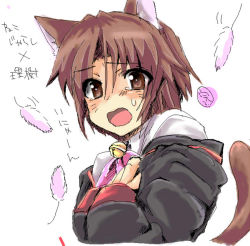 Rule 34 | 1boy, androgynous, animal ears, artist request, bell, blush, bob cut, brown eyes, brown hair, cat ears, cat tail, cat teaser, feathers, jacket, little busters!, male focus, naoe riki, open mouth, ribbon, school uniform, shirt, short hair, sketch, solo, tail, translation request, trap