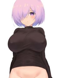 Rule 34 | 1girl, arms at sides, arms behind back, bad id, bad pixiv id, black sweater, blush, bottomless, breasts, closed mouth, covered erect nipples, covered navel, fate/grand order, fate (series), from below, groin, hair over one eye, handa guryu, highres, large breasts, light frown, long sleeves, looking at viewer, mash kyrielight, medium hair, purple eyes, purple hair, simple background, solo, sweater, taut clothes, taut sweater, tight clothes, turtleneck, turtleneck sweater, upper body, white background