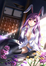 Rule 34 | 1girl, animal ears, arm support, bad id, bad pixiv id, black thighhighs, dress shirt, dutch angle, female focus, flower, light rays, long hair, looking at viewer, navel, no bra, no pants, open clothes, open shirt, panties, purple hair, rabbit ears, red eyes, reisen udongein inaba, shirt, sitting, smile, solo, striped clothes, striped panties, sunbeam, sunlight, thighhighs, touhou, underwear, unowen