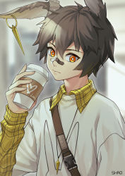 Rule 34 | 1boy, absurdres, alternate costume, animal ears, arknights, artist name, ayerscarpe (arknights), bad id, bad pixiv id, bandaid, bandaid on face, bandaid on nose, blurry, blurry background, casual, chinese commentary, coffee cup, commentary request, cup, disposable cup, grey hair, hair between eyes, hand up, heart, highres, holding, holding cup, long sleeves, looking at viewer, male focus, orange eyes, plaid, rabbit ears, shao (shaorouhong), shirt, upper body, white shirt