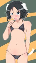 Rule 34 | 1girl, adjusting clothes, adjusting swimsuit, animal ears, arm behind back, bandaid, bandaid on face, bikini, black eyes, black hair, blush, brave witches, commentary, cowboy shot, fang, flat chest, frown, kanno naoe, looking at viewer, micro bikini, navel, open mouth, short hair, side-tie bikini bottom, solo, string bikini, sweat, swimsuit, tail, tanaka rikimaru, world witches series