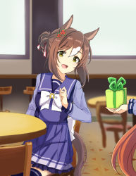 Rule 34 | 2girls, animal ears, back bow, blue sailor collar, blue shirt, blue sky, blurry, blurry background, bow, brown hair, chair, commentary, daiwa scarlet (umamusume), depth of field, fine motion (umamusume), flower, frilled skirt, frills, gift, giving, hair flower, hair ornament, highres, holding, holding gift, horse ears, horse girl, horse tail, indoors, kuon kimi, looking at another, looking back, miniskirt, multiple girls, open mouth, pleated skirt, sailor collar, school uniform, shirt, short hair, sidelocks, sitting, skirt, sky, smile, standing, table, tail, thighhighs, tracen school uniform, umamusume, white bow, yellow eyes