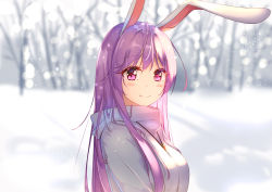 Rule 34 | 1girl, absurdres, alternate costume, animal ears, blush, breasts, carrot necklace, diving penguin, from side, hair between eyes, highres, jewelry, long hair, looking at viewer, looking back, medium breasts, necklace, outdoors, pink eyes, purple hair, rabbit ears, rabbit girl, red eyes, reisen udongein inaba, smile, snow, snowing, solo, sweater, touhou, upper body, very long hair, white sweater, winter, winter clothes