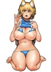 Rule 34 | 1girl, absurdres, animal ear fluff, animal ears, bare arms, bare legs, barefoot, bikini, bikini top lift, bikini under clothes, blonde hair, breasts, brown eyes, chanta (ayatakaoisii), clothes lift, fox ears, full body, hands up, highres, large breasts, lifting own clothes, looking at viewer, navel, nipples, no tail, open mouth, seiza, shirt, short hair, simple background, sitting, slit pupils, solo, stomach, sweat, swimsuit, tabard, touhou, white background, yakumo ran