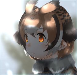 Rule 34 | animal ears, cats yone, closed mouth, eurasian eagle owl (kemono friends), gloves, highres, kemono friends, necktie, short hair, tail