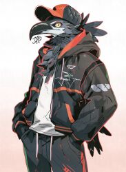 Rule 34 | 1boy, absurdres, artist name, baseball cap, beak, bird boy, black hat, black jacket, black pants, closed mouth, colored sclera, cowboy shot, furry, furry male, gradient background, grey feathers, hands in pockets, hat, highres, hood, hooded jacket, jacket, long sleeves, looking at viewer, male focus, original, pants, pink background, red hat, shirt, signature, simple background, slit pupils, solo, standing, tomochiso, white background, white shirt, yellow sclera