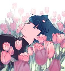 Rule 34 | 1boy, black shirt, blue eyes, blue hair, blunt bangs, blurry, closed mouth, commentary, creatures (company), flower, from side, game freak, grass, lying, male focus, nintendo, on back, petals, pink flower, pokemon, pokemon dppt, saku nosuke, saturn (pokemon), shirt, short hair, solo, symbol-only commentary, team galactic, upper body