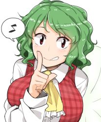 Rule 34 | 1girl, ascot, bad id, bad pixiv id, blush, breasts, collared shirt, finger to mouth, green hair, grin, index finger raised, kazami yuuka, large breasts, long sleeves, looking at viewer, musical note, plaid, plaid vest, quaver, red eyes, red vest, shirt, shushing, smile, solo, speech bubble, spoken musical note, touhou, unadare, upper body, vest, wavy hair, white shirt