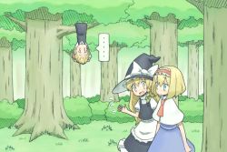 Rule 34 | ..., 3girls, alice margatroid, apron, ascot, black dress, blonde hair, blue dress, blue eyes, braid, capelet, dress, female focus, flying sweatdrops, forest, grass, hair ribbon, hairband, hanging, hat, in tree, kirisame marisa, multiple girls, nature, open mouth, red eyes, ribbon, rumia, taiga mahoukan, touhou, tree, upside-down, witch, witch hat, yellow eyes