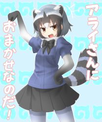 Rule 34 | 10s, 1girl, absurdres, animal ears, black bow, black bowtie, black hair, black ribbon, blue background, blush, bow, bowtie, breast pocket, common raccoon (kemono friends), fang, grey hair, hand on own hip, highres, kakutasu (akihiron cactus), kemono friends, looking at viewer, multicolored hair, open mouth, pantyhose, pocket, raccoon ears, raccoon tail, ribbon, smile, solo, tail, translated, white hair