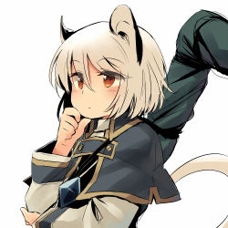 Rule 34 | 1girl, animal ears, brown eyes, capelet, dowsing rod, gem, hand on own chin, mouse ears, mouse tail, nazrin, silver hair, simple background, solo, tail, touhou, upper body, yudepii