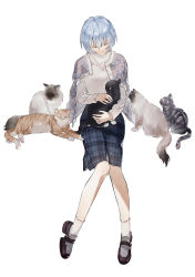 Rule 34 | 1girl, absurdres, alternate costume, animal, animal on lap, ankle socks, ayanami rei, black cat, blue hair, blue nails, cat, cat on lap, checkered clothes, checkered skirt, closed eyes, closed mouth, frilled legwear, grey cat, grey sweater, highres, holding, holding animal, holding cat, looking down, nail polish, neon genesis evangelion, on lap, orange cat, over shoulder, short hair, simple background, skirt, smile, socks, sweater, white background, white cat, white legwear, yukibanashia