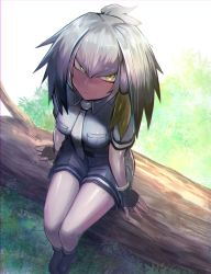 Rule 34 | 10s, 1girl, black gloves, black hair, blouse, breasts, commentary request, expressionless, fingerless gloves, from above, full body, gloves, gradient hair, grey necktie, grey shirt, hidezi, highres, kemono friends, legs together, long hair, looking at viewer, medium breasts, multicolored hair, necktie, outdoors, shirt, shoebill (kemono friends), shoes, short sleeves, shorts, side ponytail, silver hair, sitting, solo, tree, two-tone hair, yellow eyes
