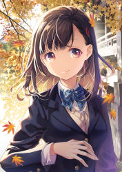 Rule 34 | 1girl, ahoge, autumn, autumn leaves, black hair, black jacket, blazer, blue bow, blue bowtie, bow, bowtie, breasts, building, closed mouth, commentary request, day, falling leaves, h2so4, hair ornament, hairclip, hand up, highres, jacket, leaf, long hair, long sleeves, looking at viewer, motion blur, original, outdoors, purple eyes, school uniform, small breasts, smile, solo, striped bow, striped bowtie, striped clothes, striped neckwear, sunlight, upper body