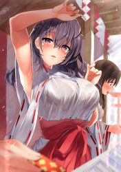 Rule 34 | 2girls, arm up, armpits, black bra, blurry, blurry foreground, blush, bra, breasts, brown hair, commentary request, day, depth of field, hair between eyes, hakama, hakama skirt, highres, japanese clothes, kawai (purplrpouni), large breasts, lens flare, looking at viewer, miko, multiple girls, original, parted lips, purple eyes, purple hair, red hakama, ribbon-trimmed sleeves, ribbon trim, see-through, skirt, solo focus, underwear, wet kimono