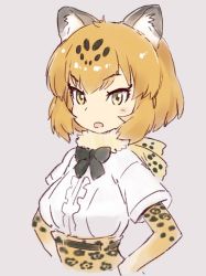 Rule 34 | 10s, 1girl, animal ears, blonde hair, blush, bow, cat ears, commentary request, elbow gloves, gloves, hands on own hips, jaguar (kemono friends), jaguar ears, kawata hisashi, kemono friends, looking at viewer, open mouth, serval print, short hair, sketch, solo