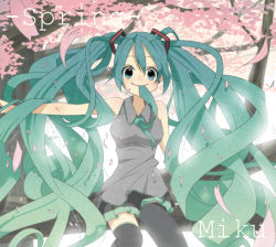 Rule 34 | 1girl, aqua eyes, aqua hair, bad id, bad pixiv id, cherry blossoms, hatsune miku, himano (artist), in tree, long hair, mouth hold, necktie, solo, thighhighs, tree, twintails, very long hair, vocaloid, zettai ryouiki