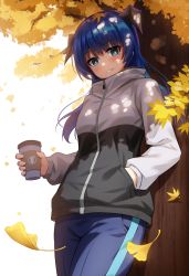 Rule 34 | 1girl, absurdres, alternate costume, arknights, autumn, blue eyes, blue hair, blue pants, blush, bright pupils, casual, commentary request, cowboy shot, cup, dappled sunlight, day, disposable cup, falling leaves, ginkgo leaf, hand in pocket, high collar, highres, holding, holding cup, holiday (pangjelly), jacket, leaf, leaf on breast, long hair, long sleeves, looking at viewer, mostima (arknights), multicolored clothes, multicolored jacket, outdoors, pants, parted lips, smile, solo, sunlight, track jacket, tree, two-tone jacket, zipper pull tab