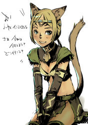 Rule 34 | 00s, 1girl, animal ears, bad id, bad pixiv id, blonde hair, blush, branch (blackrabbits), breasts, circlet, female focus, final fantasy, final fantasy xi, mithra (ff11), simple background, smile, solo, tail, translation request