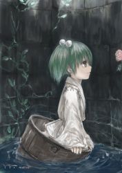 Rule 34 | 1girl, bad id, bad pixiv id, bucket, dark, female focus, flower, from side, green hair, in bucket, in container, kisume, masuchi, plant, short hair, solo, touhou, twintails, well